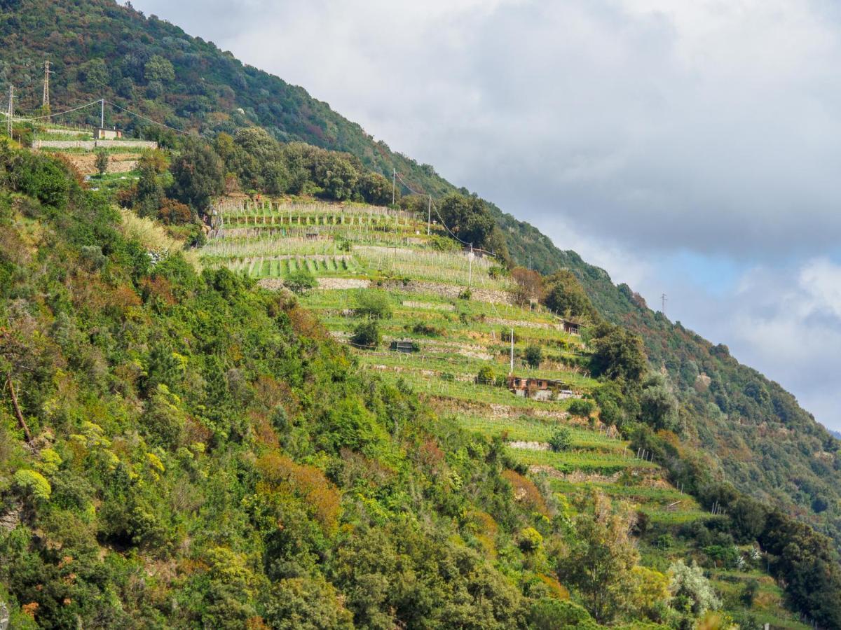 Villa Tanca With Ac, Terrace And Views Monterosso al Mare Bagian luar foto